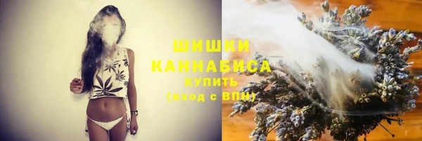 СК Белокуриха
