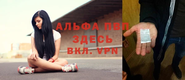 СК Белокуриха