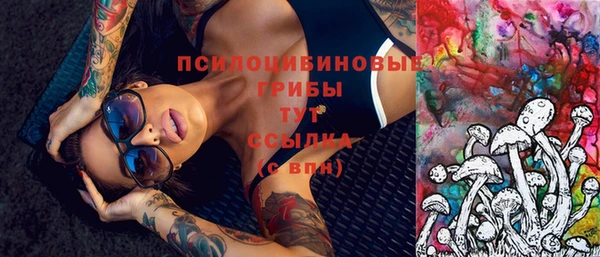 СК Белокуриха