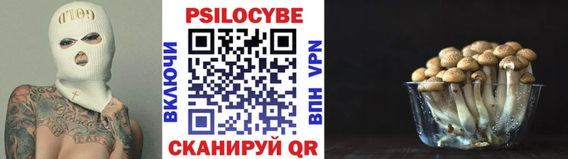 Галлюциногенные грибы ЛСД  Горнозаводск 